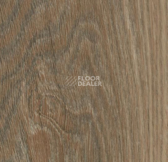 Кварцвиниловые полы Forbo Allura Wood 60187DR7-60187DR5 natural weathered oak фото 1 | FLOORDEALER